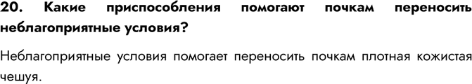 Изображение 20. Какие приспособления помогают почкам переносить неблагоприятные условия?Неблагоприятные условия помогает переносить почкам плотная кожистая...